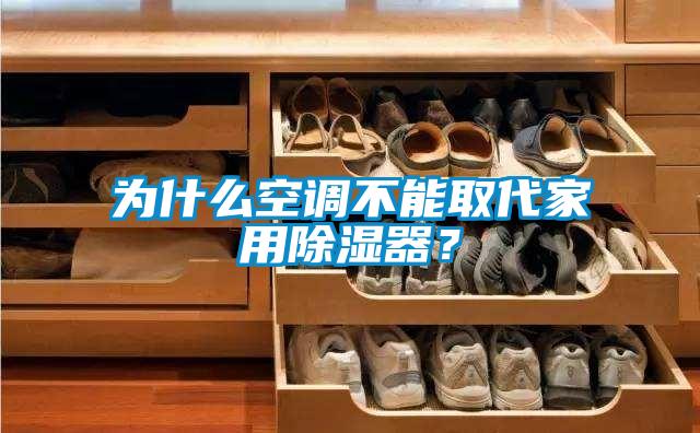 為什么空調不能取代家用除濕器？