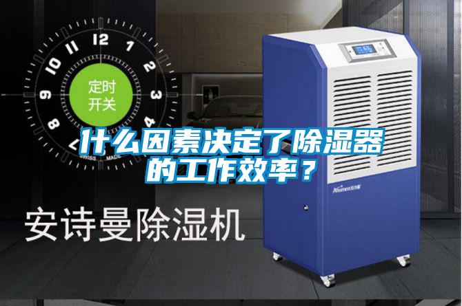 什么因素決定了除濕器的工作效率？