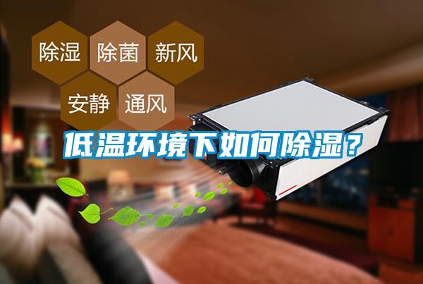 低溫環(huán)境下如何除濕？