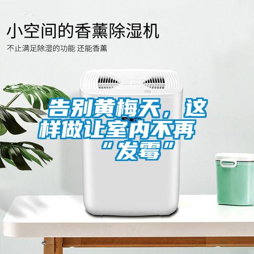 告別黃梅天，這樣做讓室內不再“發(fā)霉”