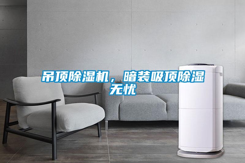吊頂除濕機，暗裝吸頂除濕無(wú)憂(yōu)