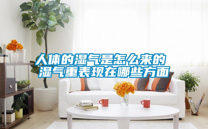 人體的濕氣是怎么來(lái)的 濕氣重表現在哪些方面