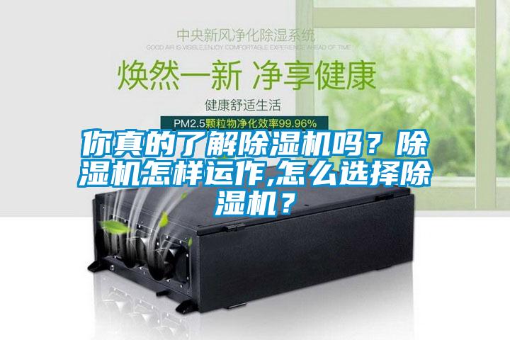 你真的了解除濕機嗎？除濕機怎樣運作,怎么選擇除濕機？