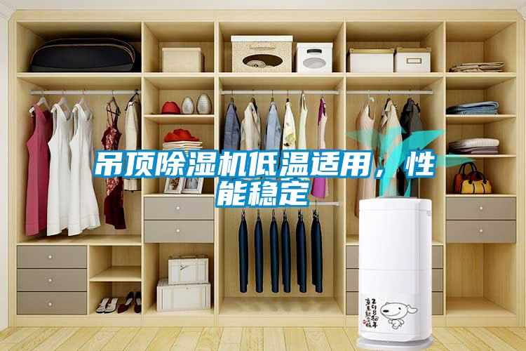 吊頂除濕機低溫適用，性能穩定