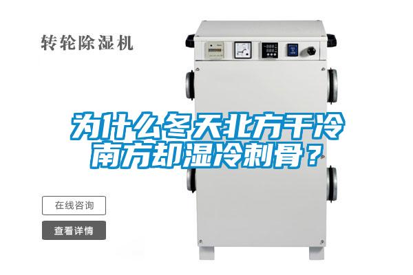為什么冬天北方干冷南方卻濕冷刺骨？