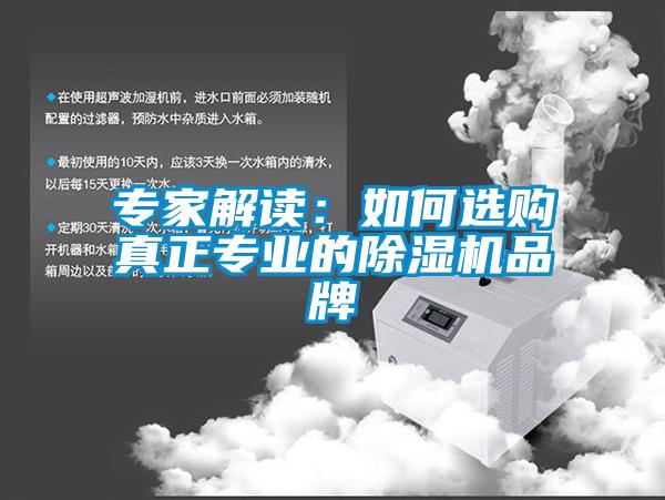 專(zhuān)家解讀：如何選購真正專(zhuān)業(yè)的除濕機品牌