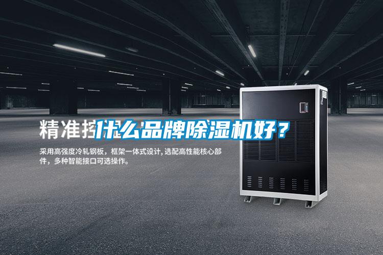 什么品牌除濕機好？