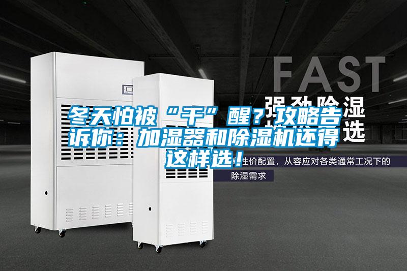 冬天怕被“干”醒？攻略告訴你：加濕器和除濕機還得這樣選！