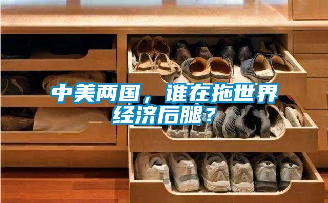 中美兩國，誰(shuí)在拖世界經(jīng)濟后腿？