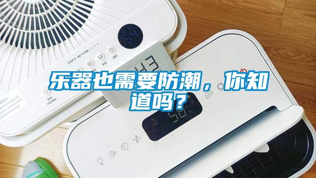 樂(lè )器也需要防潮，你知道嗎？