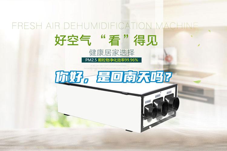 你好，是回南天嗎？