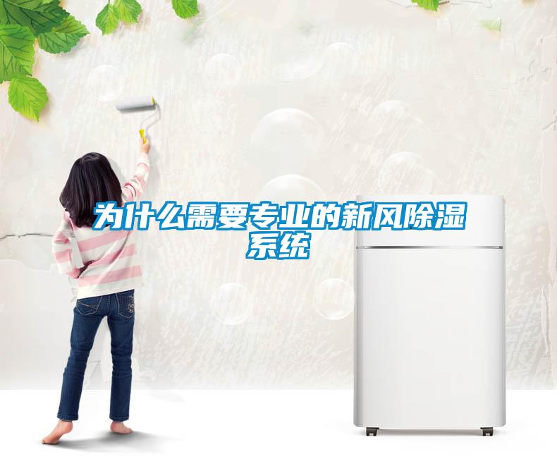 為什么需要專(zhuān)業(yè)的新風(fēng)除濕系統
