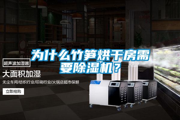 為什么竹筍烘干房需要除濕機？