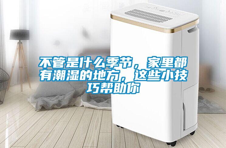 不管是什么季節，家里都有潮濕的地方，這些小技巧幫助你