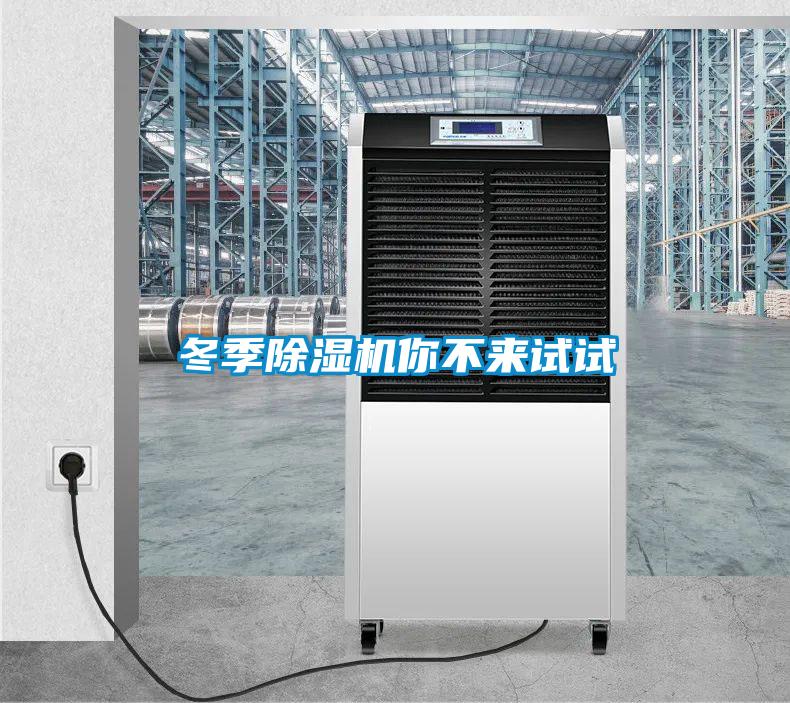 冬季除濕機你不來(lái)試試