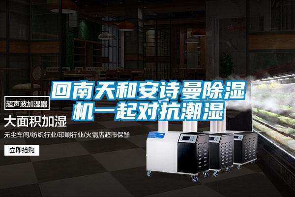 回南天和安詩(shī)曼除濕機一起對抗潮濕
