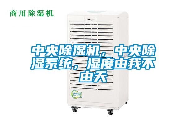 中央除濕機，中央除濕系統，濕度由我不由天