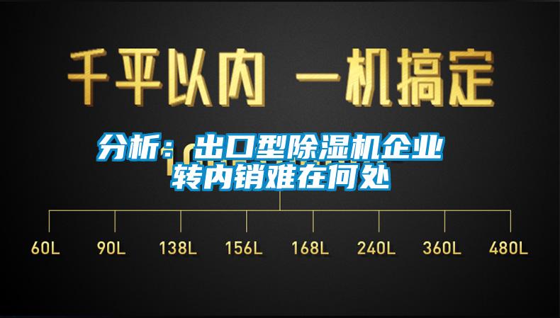 分析：出口型除濕機企業(yè) 轉內銷(xiāo)難在何處