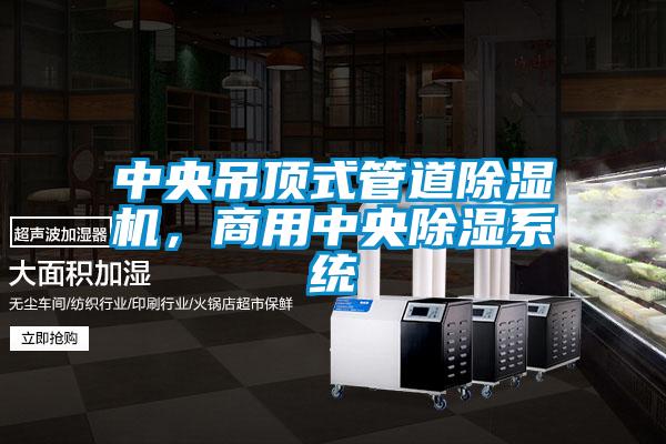 中央吊頂式管道除濕機，商用中央除濕系統