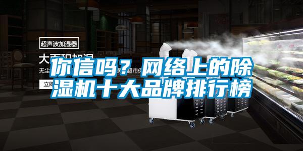 你信嗎？網(wǎng)絡(luò )上的除濕機十大品牌排行榜