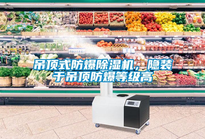 吊頂式防爆除濕機，隱裝于吊頂防爆等級高