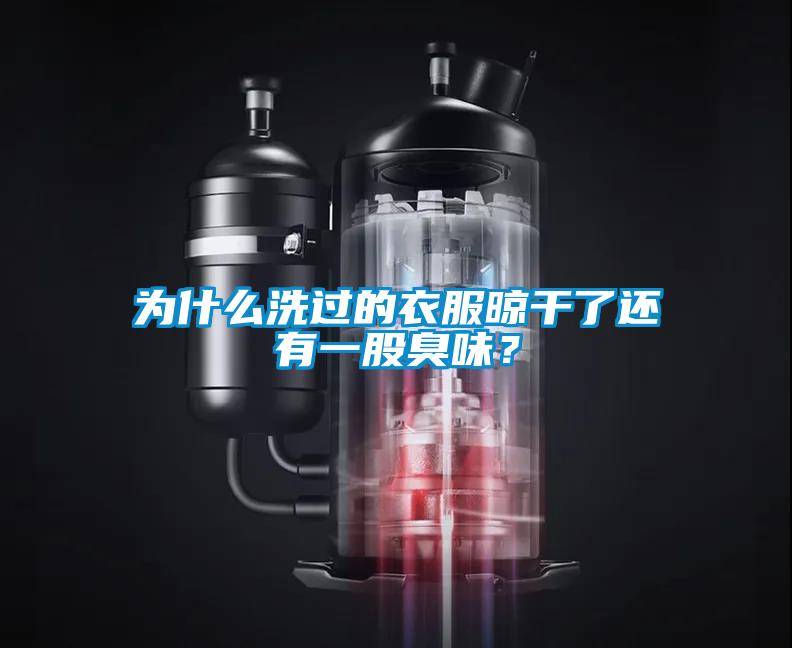 為什么洗過(guò)的衣服晾干了還有一股臭味？