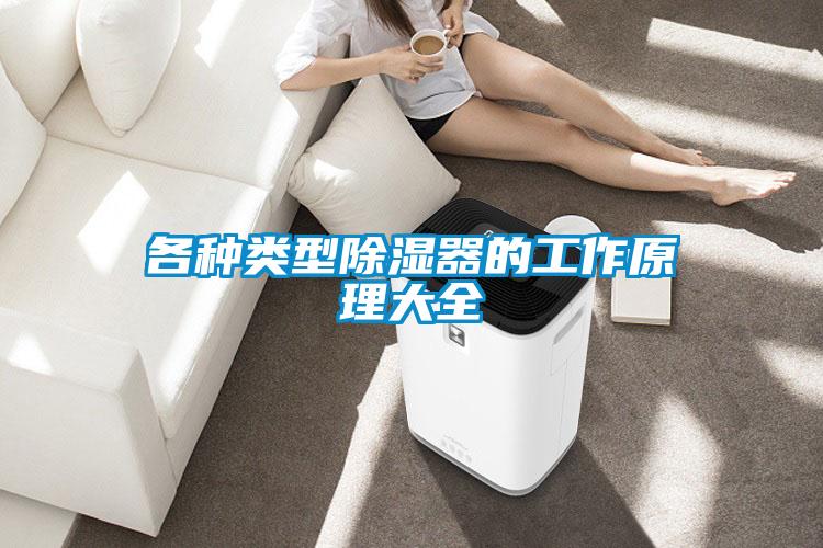 各種類(lèi)型除濕器的工作原理大全
