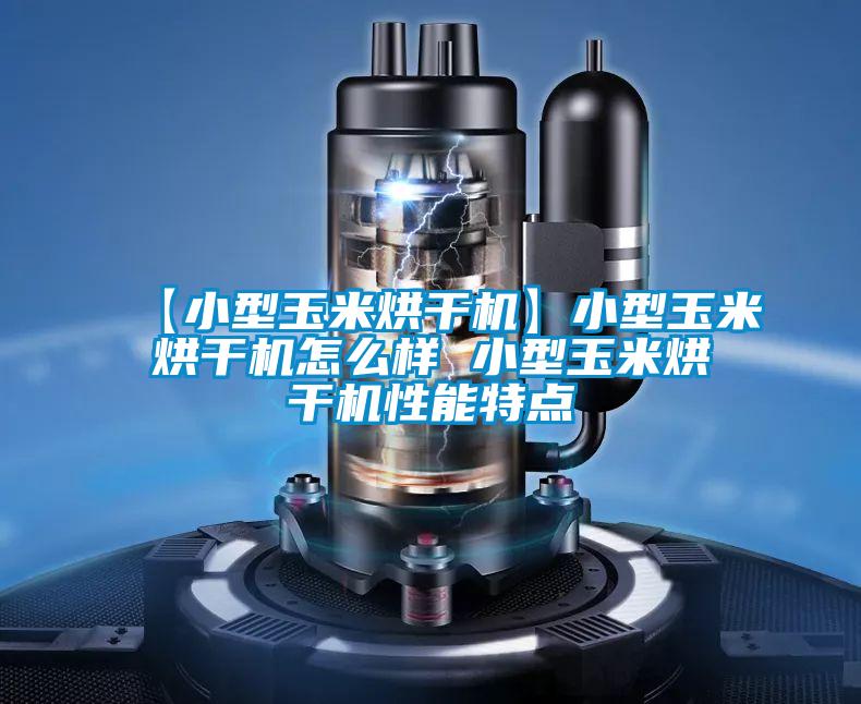 【小型玉米烘干機】小型玉米烘干機怎么樣 小型玉米烘干機性能特點(diǎn)