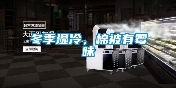 冬季濕冷，棉被有霉味
