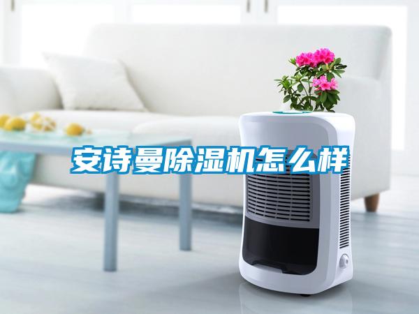 安詩(shī)曼除濕機怎么樣