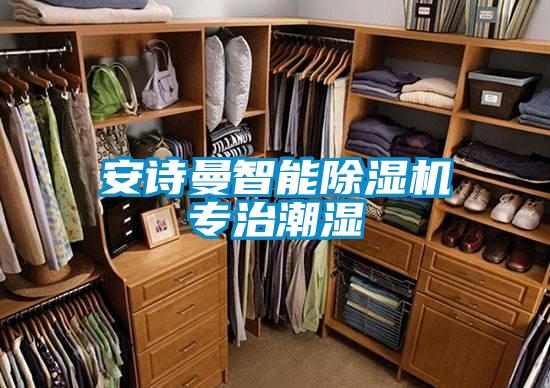 安詩(shī)曼智能除濕機專(zhuān)治潮濕