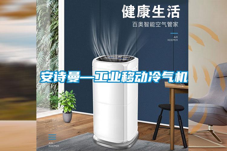 安詩(shī)曼—工業(yè)移動(dòng)冷氣機