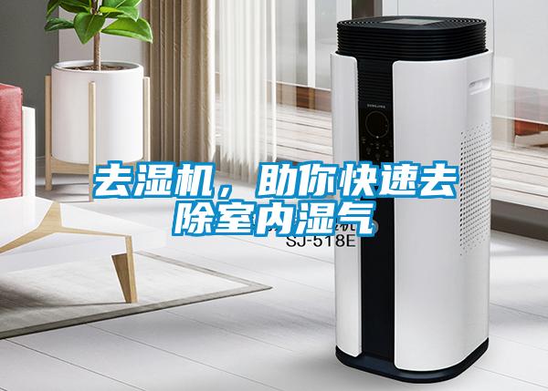 去濕機，助你快速去除室內濕氣
