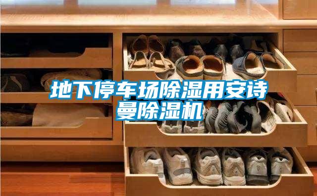 地下停車(chē)場(chǎng)除濕用安詩(shī)曼除濕機