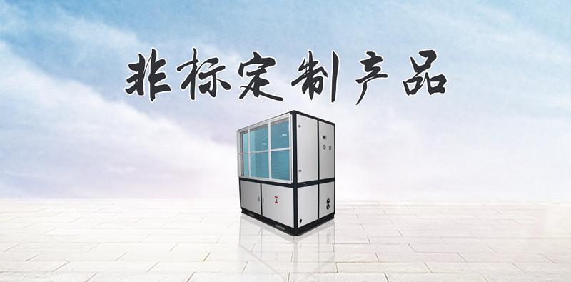 制藥生產(chǎn)車(chē)間除濕干燥的設計