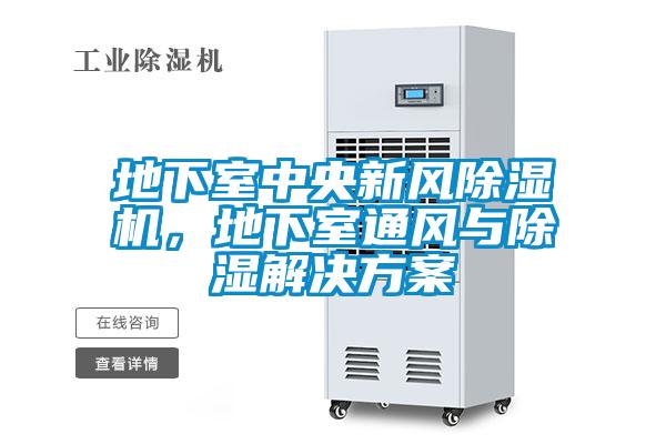 地下室中央新風(fēng)除濕機，地下室通風(fēng)與除濕解決方案