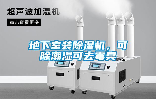地下室裝除濕機，可除潮濕可去霉臭