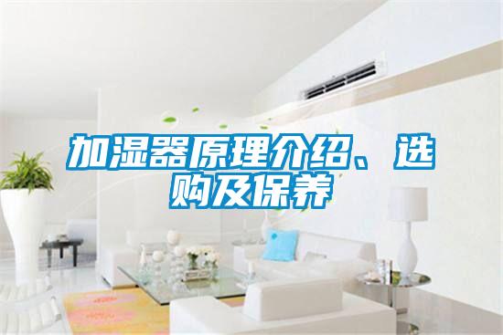 加濕器原理介紹、選購及保養