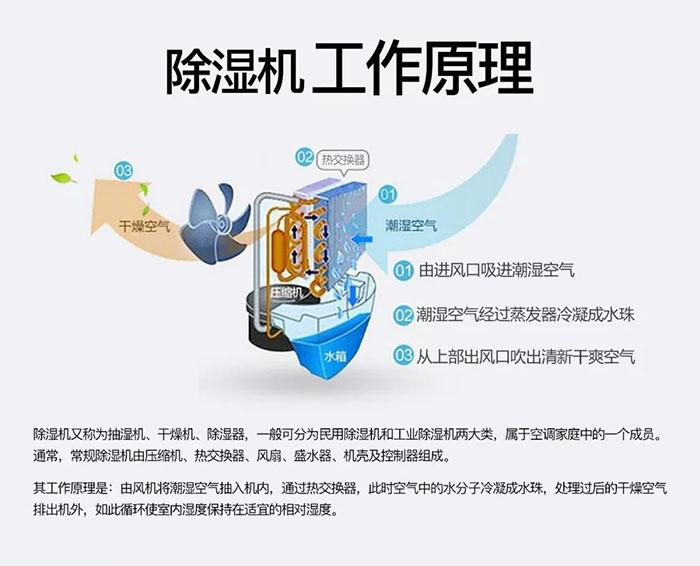 南北之爭：南方的濕冷比北方的干冷更變態(tài)？