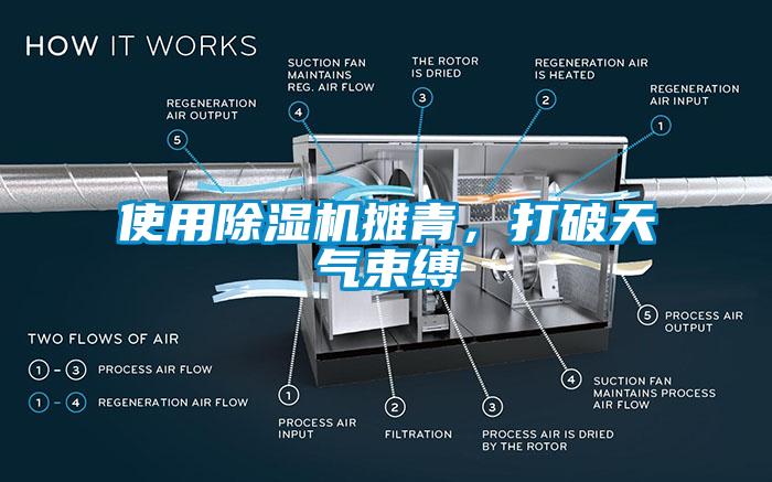 使用除濕機攤青，打破天氣束縛