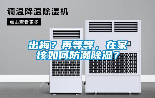 出梅？再等等，在家該如何防潮除濕？