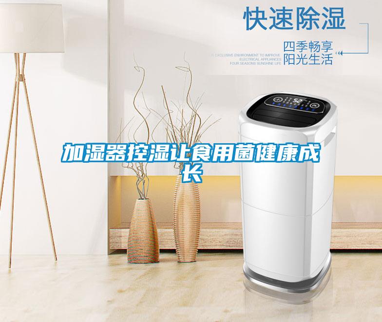 加濕器控濕讓食用菌健康成長(cháng)