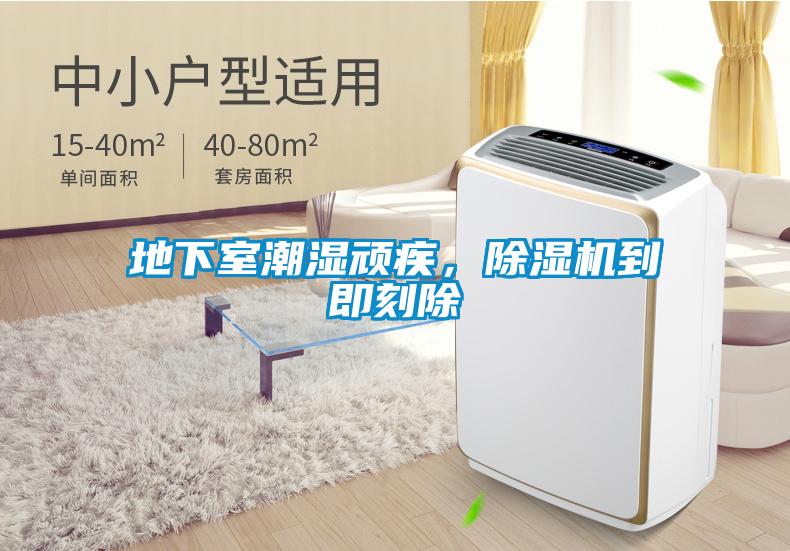 地下室潮濕頑疾，除濕機到即刻除