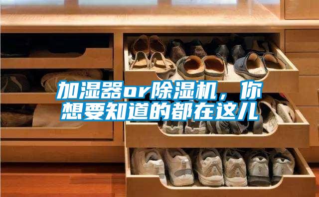 加濕器or除濕機，你想要知道的都在這兒
