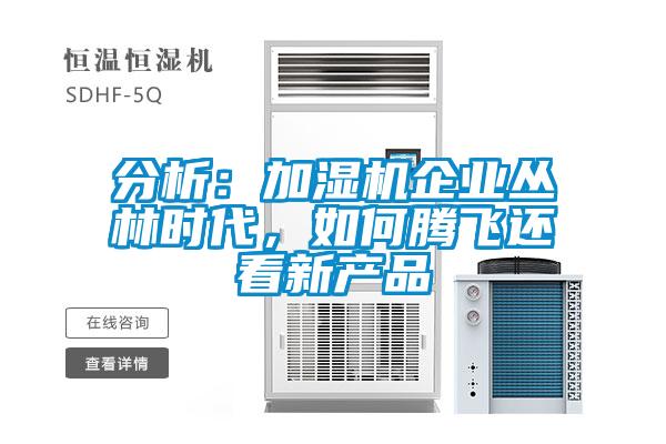 分析：加濕機企業(yè)叢林時(shí)代，如何騰飛還看新產(chǎn)品