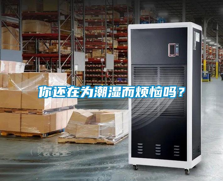 你還在為潮濕而煩惱嗎？