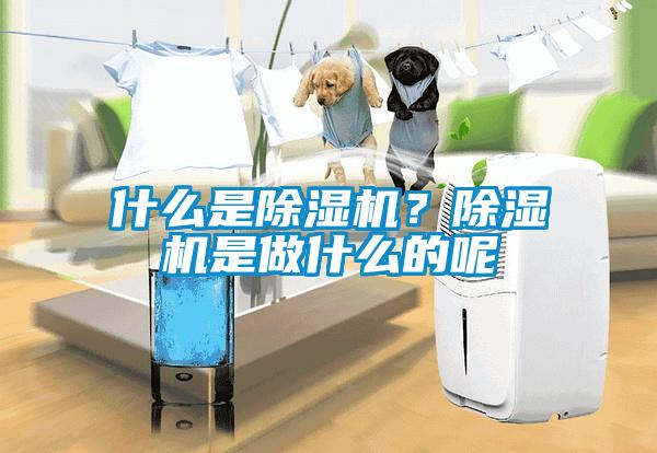 什么是除濕機?除濕機是做什么的呢