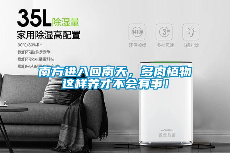 南方進(jìn)入回南天，多肉植物這樣養才不會(huì )有事！