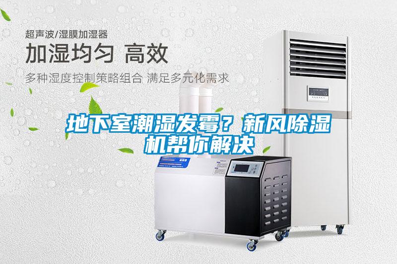 地下室潮濕發(fā)霉？新風(fēng)除濕機幫你解決