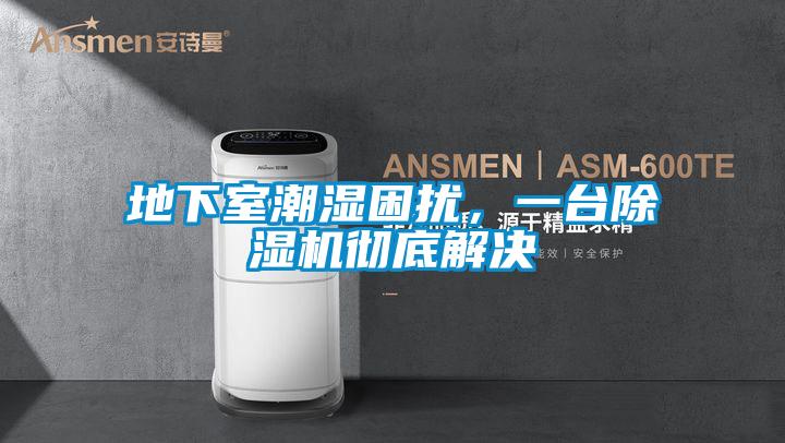 地下室潮濕困擾，一臺除濕機徹底解決